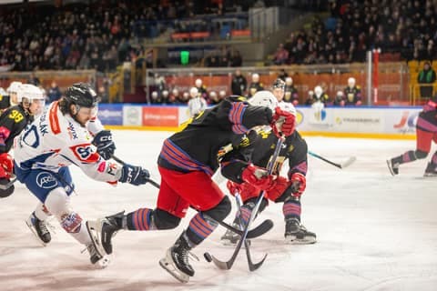 Ice Hockey. Tauron Hokej Liga. Energa Torun - Polonia Bytom. 11.01.2026