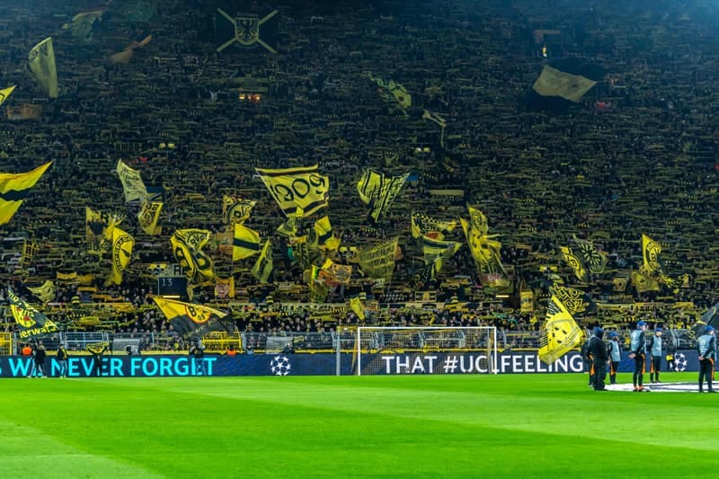 Football. UEFA Champions League. Borussia Dortmund - Shakhtar Donetsk. 29.01.2025