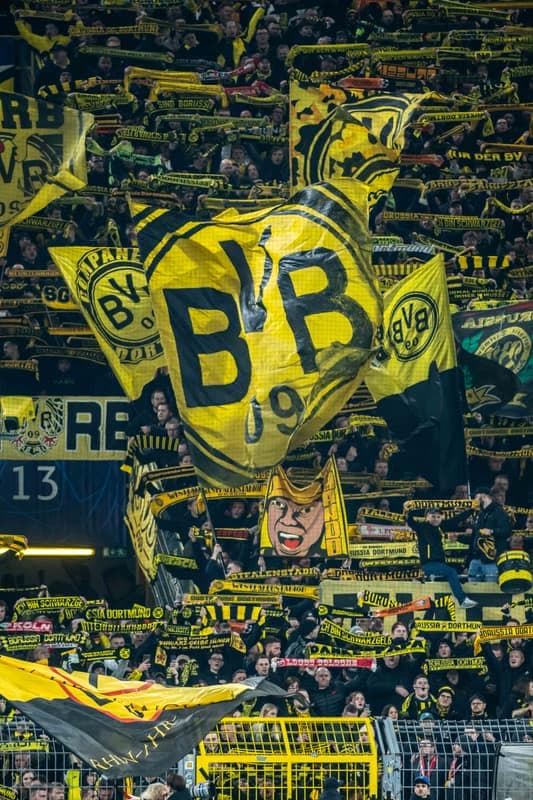 Football. UEFA Champions League. Borussia Dortmund - Shakhtar Donetsk. 29.01.2025