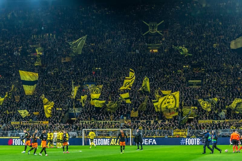 Football. UEFA Champions League. Borussia Dortmund - Shakhtar Donetsk. 29.01.2025