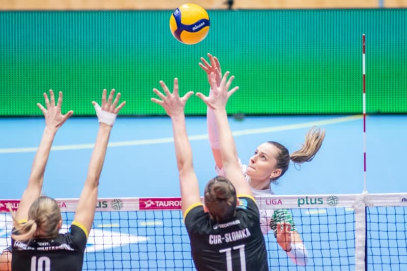 Volleyball. Tauron Liga. Sokol - Hagrik Mogilno. 05.01.2025