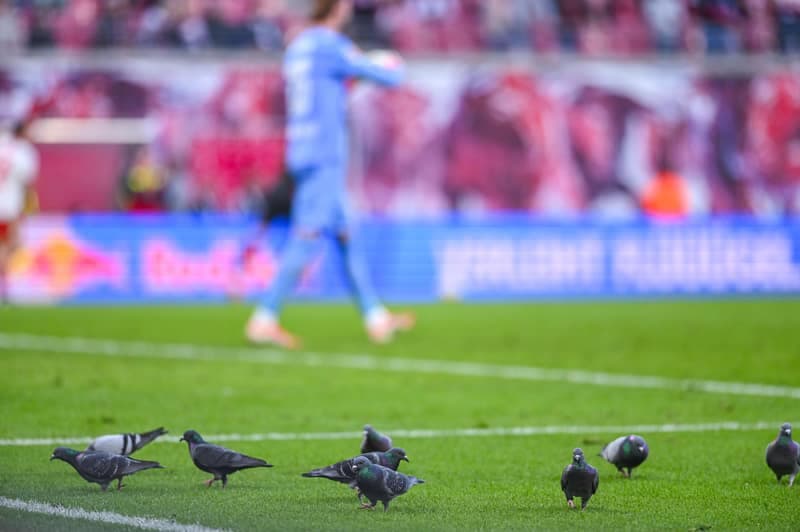 Football. Bundesliga. RB Leipzig - FC Augsburg. 07.03.2026