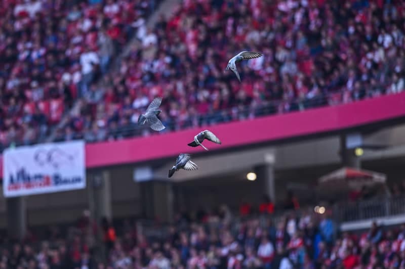 Football. Bundesliga. RB Leipzig - FC Augsburg. 07.03.2026