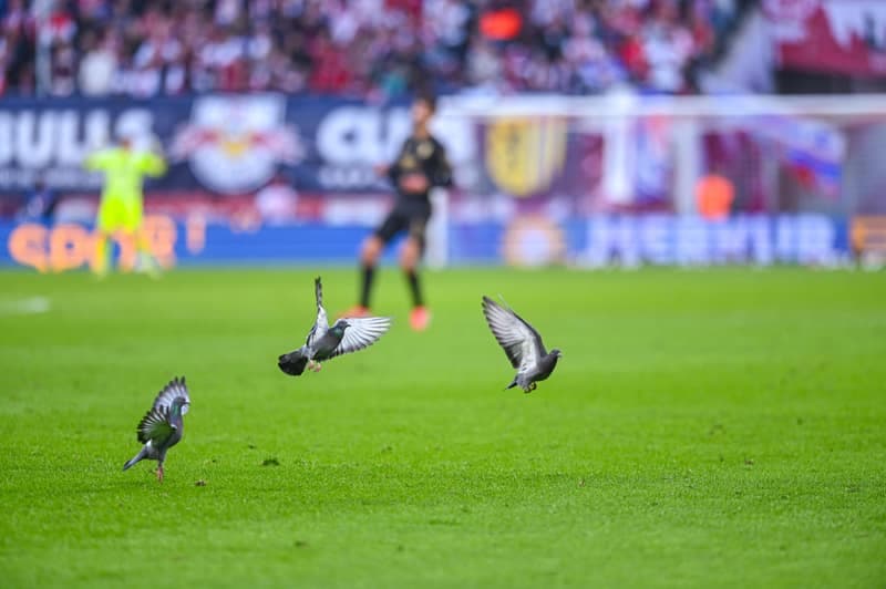 Football. Bundesliga. RB Leipzig - FC Augsburg. 07.03.2026