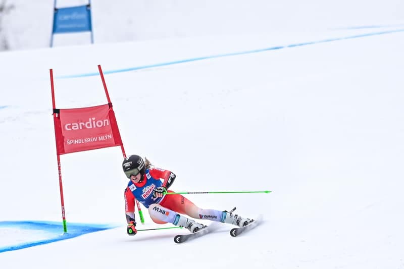 Alpine Skiing. AUDI FIS World Cup. Giant Slalom. 24.01.2026