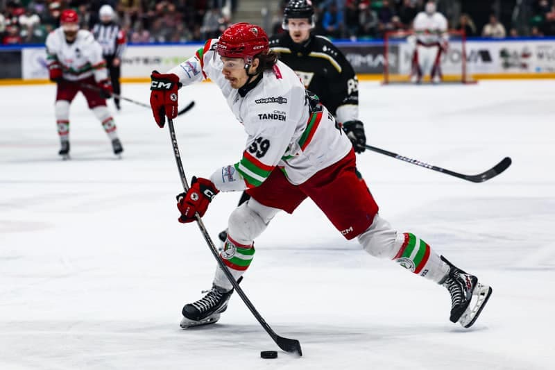 Ice Hockey. Tauron Hockey League. ECB Zaglebie Sosnowiec - GKS Tychy. 16.03.2026