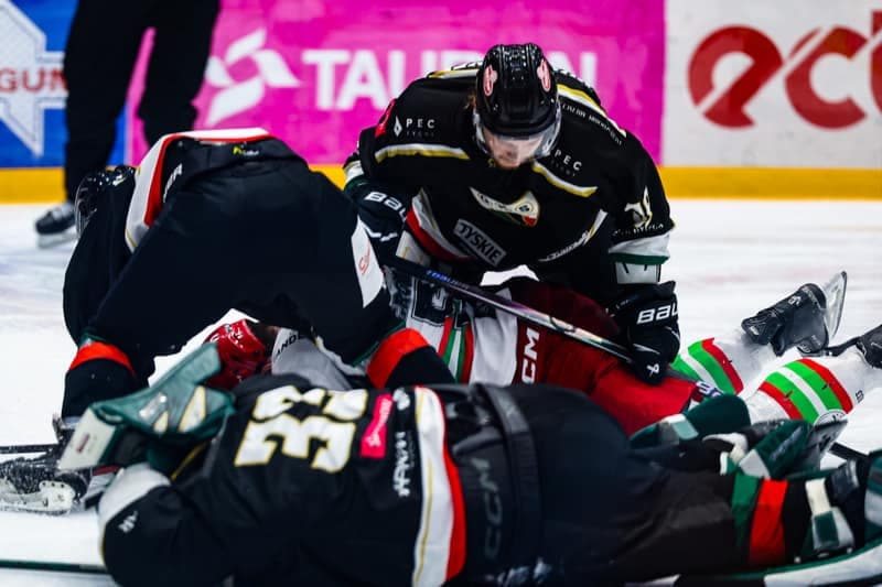 Ice Hockey. Tauron Hockey League. ECB Zaglebie Sosnowiec - GKS Tychy. 16.03.2026