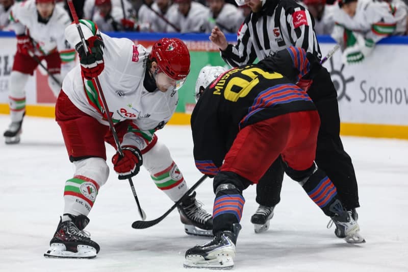 Ice Hockey. Tauron Hockey League. ECB Zaglebie Sosnowiec - BS Polonia Bytom. 08.03.2026