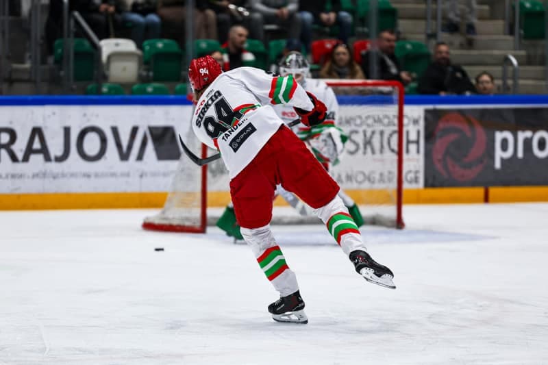 Ice Hockey. Tauron Hockey League. ECB Zaglebie Sosnowiec - BS Polonia Bytom. 08.03.2026