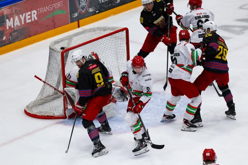 Ice Hockey. Tauron Hockey League. ECB Zaglebie Sosnowiec - BS Polonia Bytom. 08.03.2026