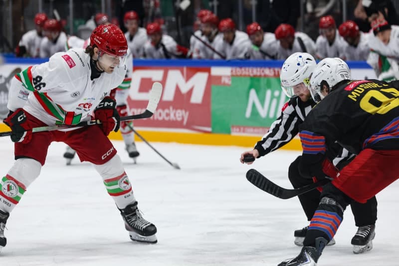 Ice Hockey. Tauron Hockey League. ECB Zaglebie Sosnowiec - BS Polonia Bytom. 08.03.2026