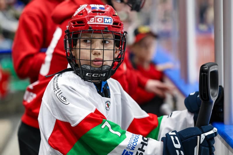 Ice Hockey. Tauron Hockey League. ECB Zaglebie Sosnowiec - BS Polonia Bytom. 08.03.2026