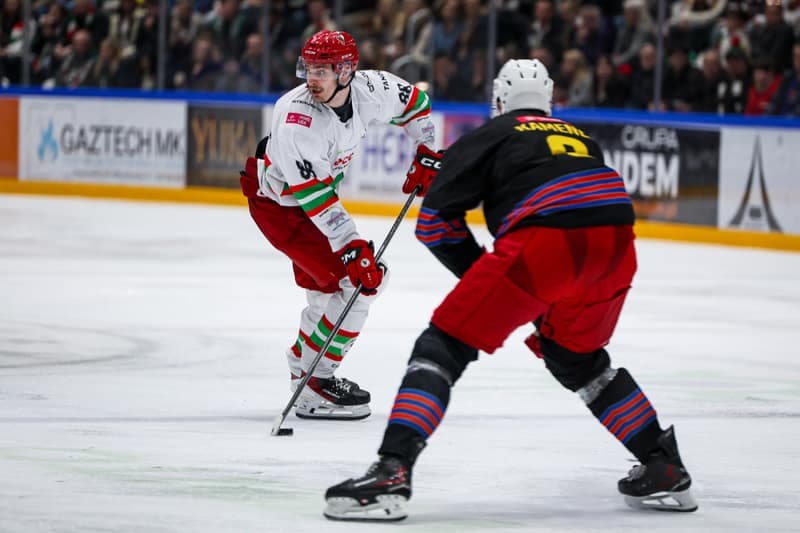 Ice Hockey. Tauron Hockey League. ECB Zaglebie Sosnowiec - BS Polonia Bytom. 08.03.2026