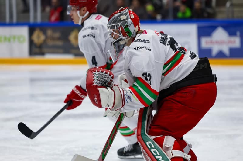 Ice Hockey. Tauron Hockey League. ECB Zaglebie Sosnowiec - BS Polonia Bytom. 08.03.2026