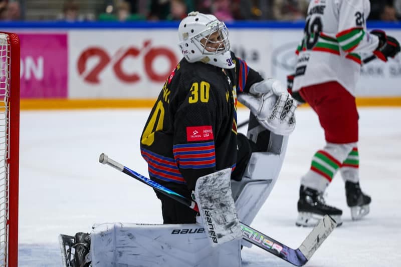 Ice Hockey. Tauron Hockey League. ECB Zaglebie Sosnowiec - BS Polonia Bytom. 08.03.2026