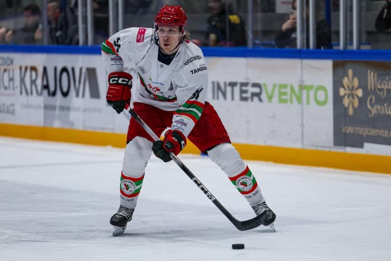 Ice Hockey. Tauron Hockey League. ECB Zaglebie Sosnowiec - BS Polonia Bytom. 08.03.2026