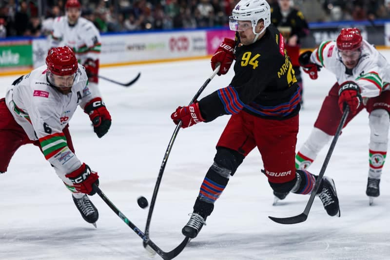 Ice Hockey. Polish Hockey League. ECB Zaglebie Sosnowiec - BS Polonia Bytom. 28.02.2026