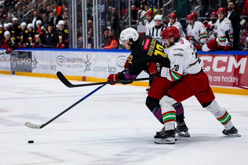 Ice Hockey. Polish Hockey League. ECB Zaglebie Sosnowiec - BS Polonia Bytom. 28.02.2026