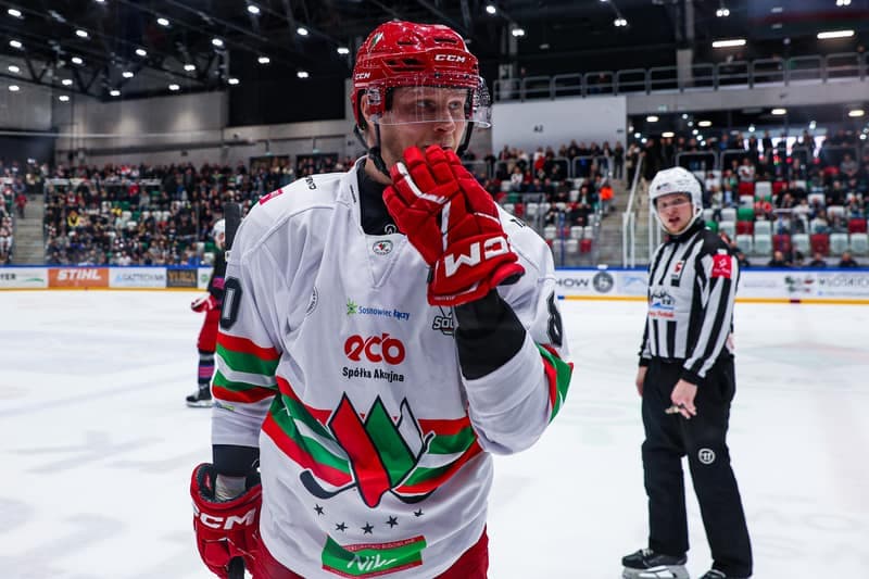 Ice Hockey. Polish Hockey League. ECB Zaglebie Sosnowiec - BS Polonia Bytom. 28.02.2026