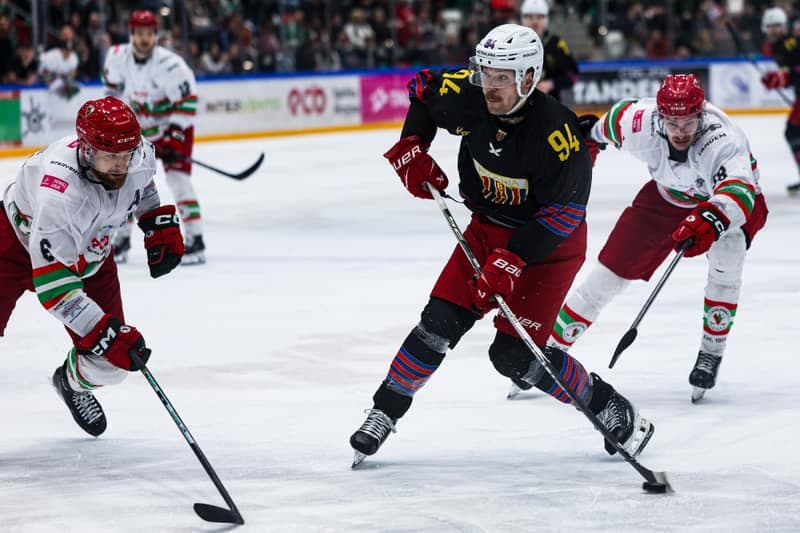 Ice Hockey. Polish Hockey League. ECB Zaglebie Sosnowiec - BS Polonia Bytom. 28.02.2026