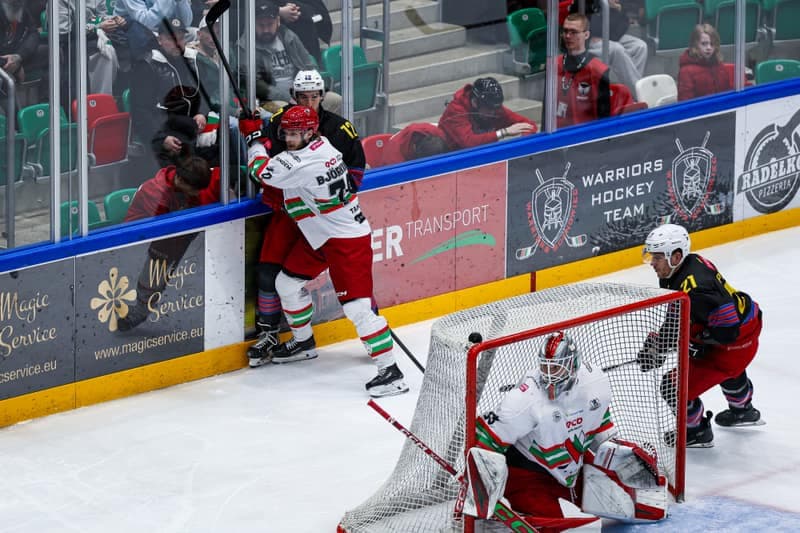 Ice Hockey. Polish Hockey League. ECB Zaglebie Sosnowiec - BS Polonia Bytom. 28.02.2026