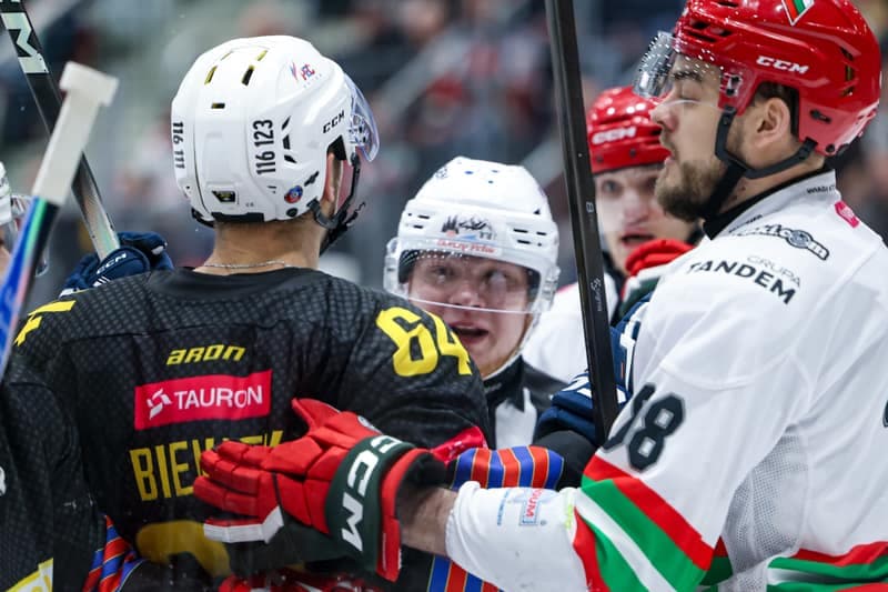 Ice Hockey. Polish Hockey League. ECB Zaglebie Sosnowiec - BS Polonia Bytom. 28.02.2026