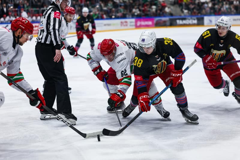 Ice Hockey. Polish Hockey League. ECB Zaglebie Sosnowiec - BS Polonia Bytom. 28.02.2026