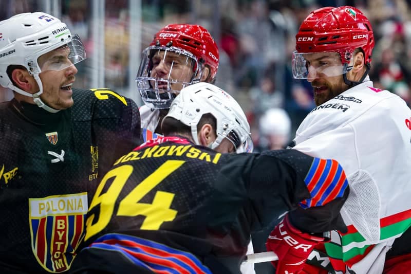 Ice Hockey. Polish Hockey League. ECB Zaglebie Sosnowiec - BS Polonia Bytom. 28.02.2026