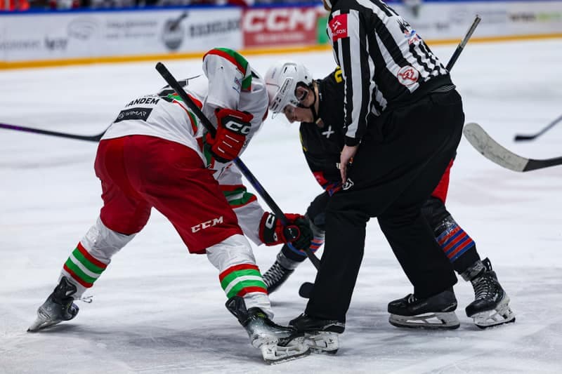 Ice Hockey. Polish Hockey League. ECB Zaglebie Sosnowiec - BS Polonia Bytom. 28.02.2026