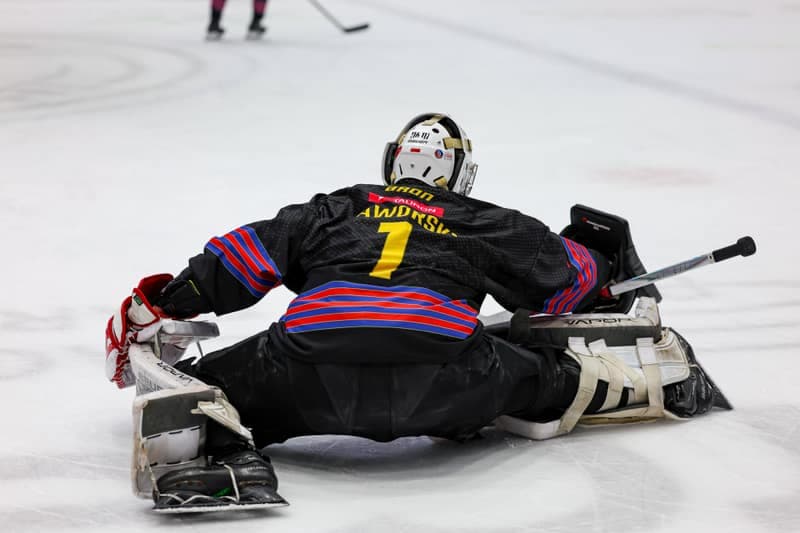Ice Hockey. Polish Hockey League. ECB Zaglebie Sosnowiec - BS Polonia Bytom. 28.02.2026
