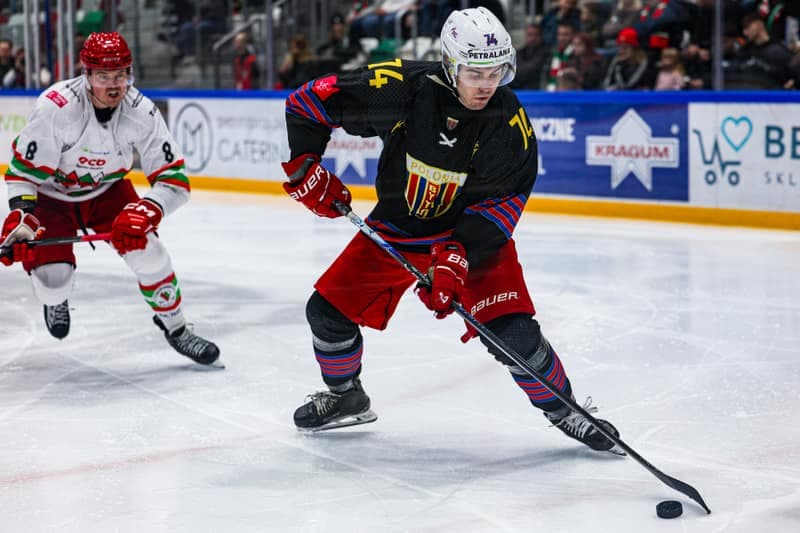 Ice Hockey. Polish Hockey League. ECB Zaglebie Sosnowiec - BS Polonia Bytom. 28.02.2026