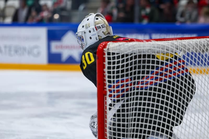 Ice Hockey. Polish Hockey League. ECB Zaglebie Sosnowiec - BS Polonia Bytom. 28.02.2026