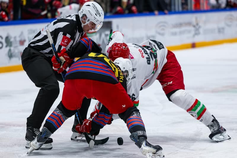 Ice Hockey. Polish Hockey League. ECB Zaglebie Sosnowiec - BS Polonia Bytom. 28.02.2026