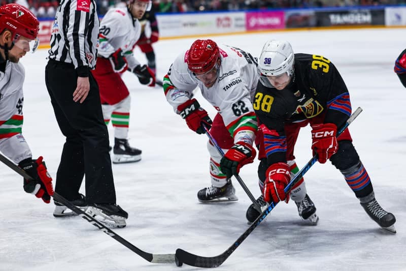 Ice Hockey. Polish Hockey League. ECB Zaglebie Sosnowiec - BS Polonia Bytom. 28.02.2026