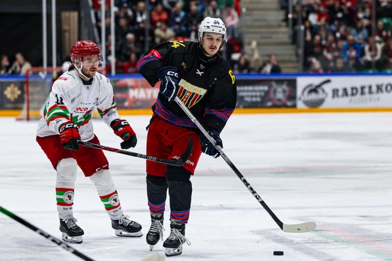 Ice Hockey. Polish Hockey League. ECB Zaglebie Sosnowiec - BS Polonia Bytom. 28.02.2026