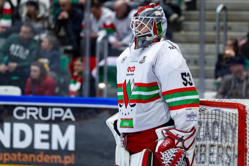 Ice Hockey. Polish Hockey League. ECB Zaglebie Sosnowiec - BS Polonia Bytom. 28.02.2026