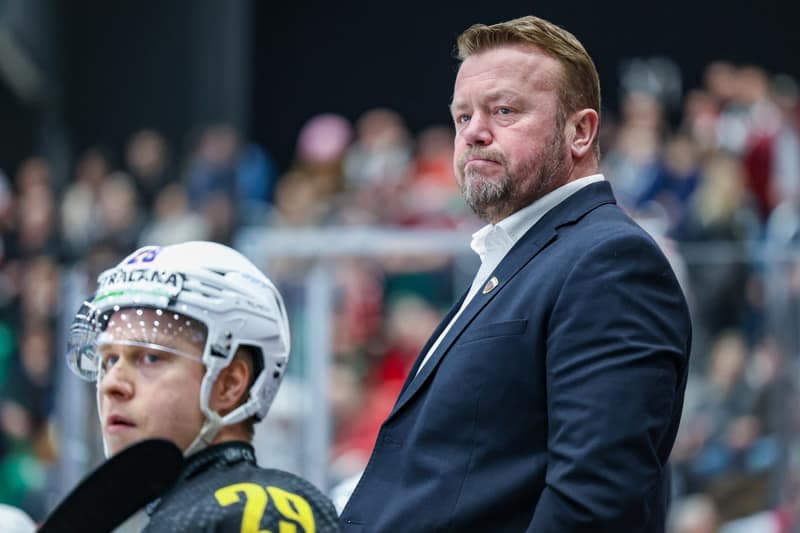 Ice Hockey. Polish Hockey League. ECB Zaglebie Sosnowiec - BS Polonia Bytom. 28.02.2026