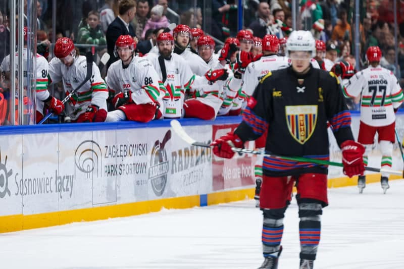 Ice Hockey. Polish Hockey League. ECB Zaglebie Sosnowiec - BS Polonia Bytom. 28.02.2026