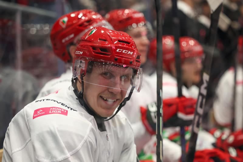 Ice Hockey. Tauron Hokej Liga. Zaglebie Sosnowiec - Polonia Bytom. 24.10.2025