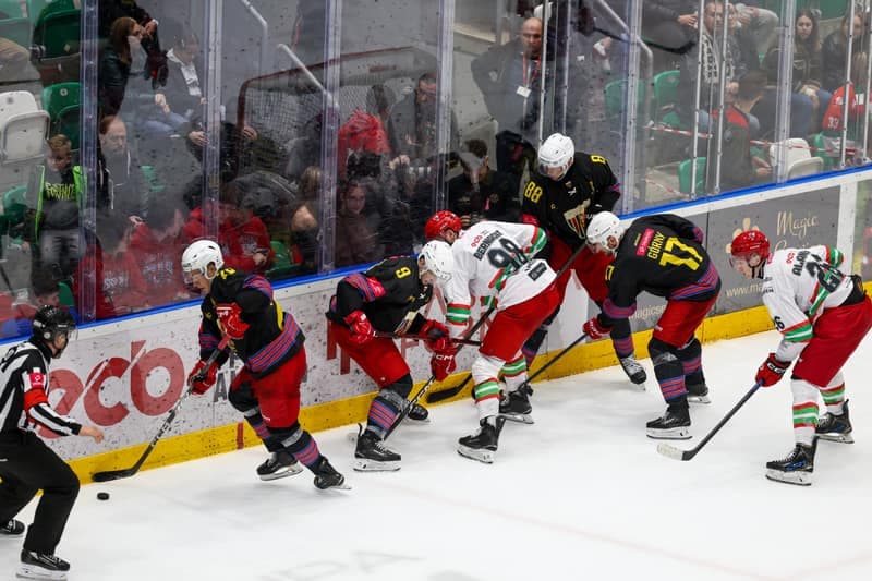Ice Hockey. Tauron Hokej Liga. Zaglebie Sosnowiec - Polonia Bytom. 24.10.2025