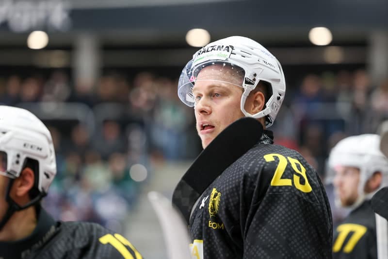 Ice Hockey. Tauron Hokej Liga. Zaglebie Sosnowiec - Polonia Bytom. 24.10.2025