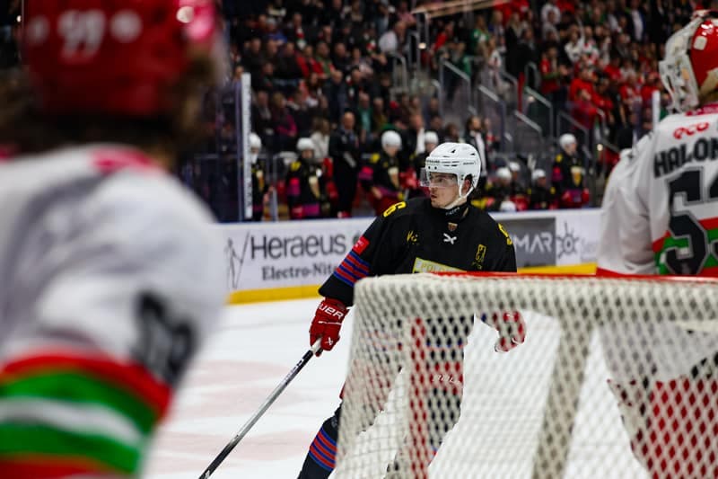 Ice Hockey. Tauron Hokej Liga. Zaglebie Sosnowiec - Polonia Bytom. 24.10.2025