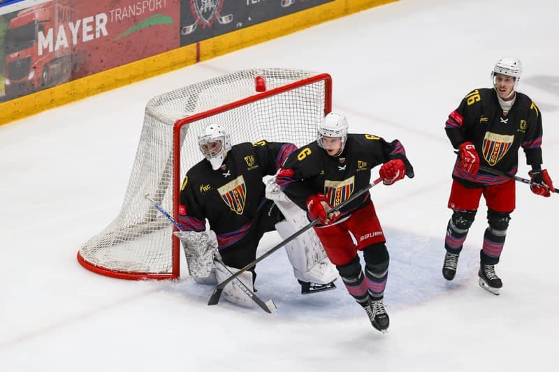Ice Hockey. Tauron Hokej Liga. Zaglebie Sosnowiec - Polonia Bytom. 24.10.2025