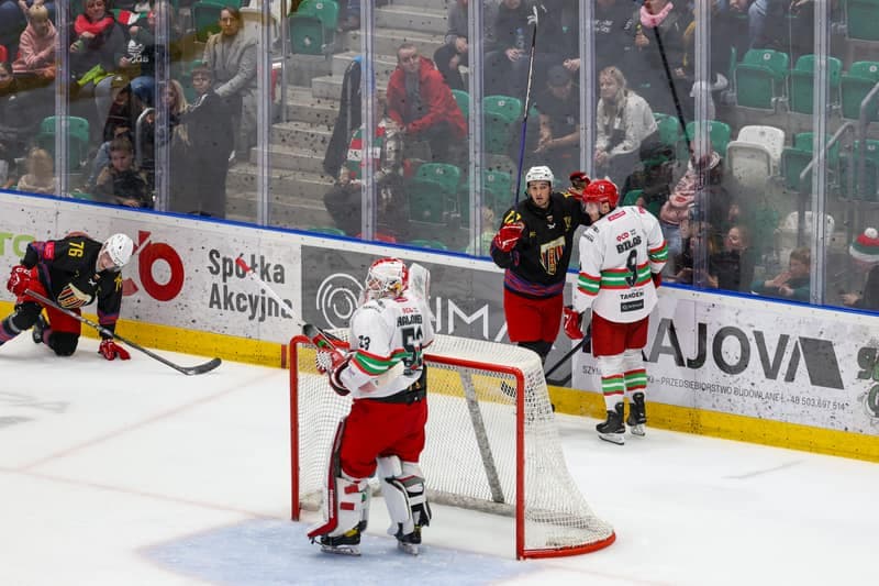 Ice Hockey. Tauron Hokej Liga. Zaglebie Sosnowiec - Polonia Bytom. 24.10.2025