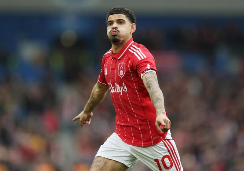 Football. Premier League. Brighton & Hove Albion - Nottingham Forest. 01.03.2026