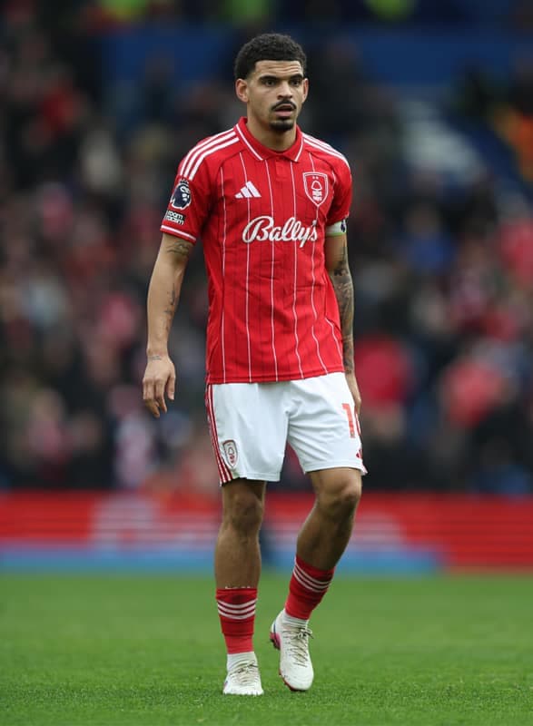 Football. Premier League. Brighton & Hove Albion - Nottingham Forest. 01.03.2026
