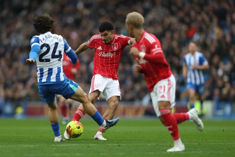 Football. Premier League. Brighton & Hove Albion - Nottingham Forest. 01.03.2026
