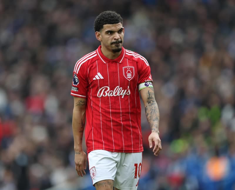 Football. Premier League. Brighton & Hove Albion - Nottingham Forest. 01.03.2026