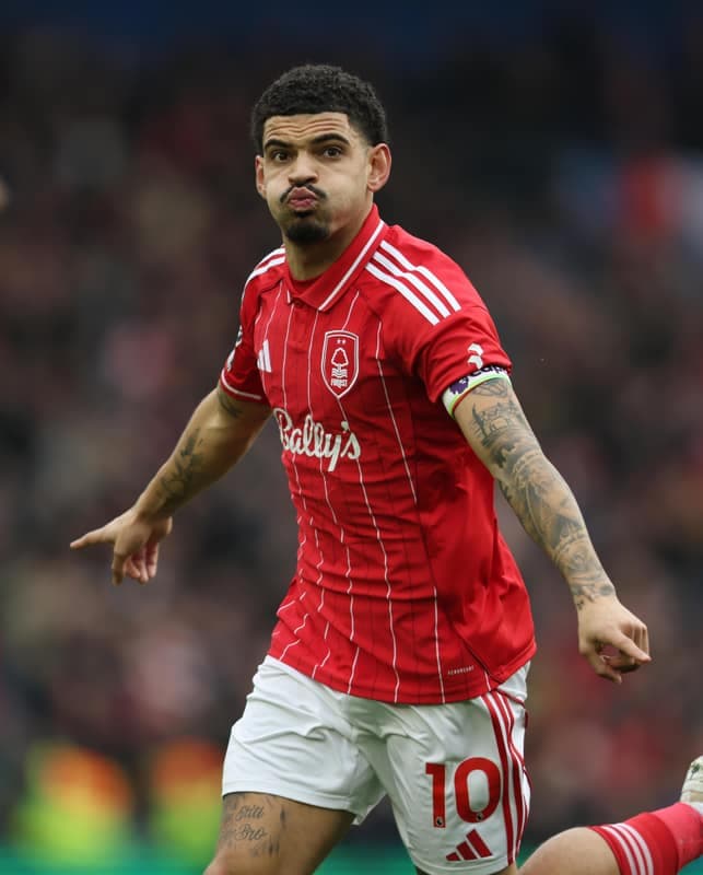 Football. Premier League. Brighton & Hove Albion - Nottingham Forest. 01.03.2026