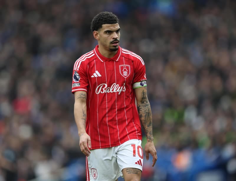 Football. Premier League. Brighton & Hove Albion - Nottingham Forest. 01.03.2026